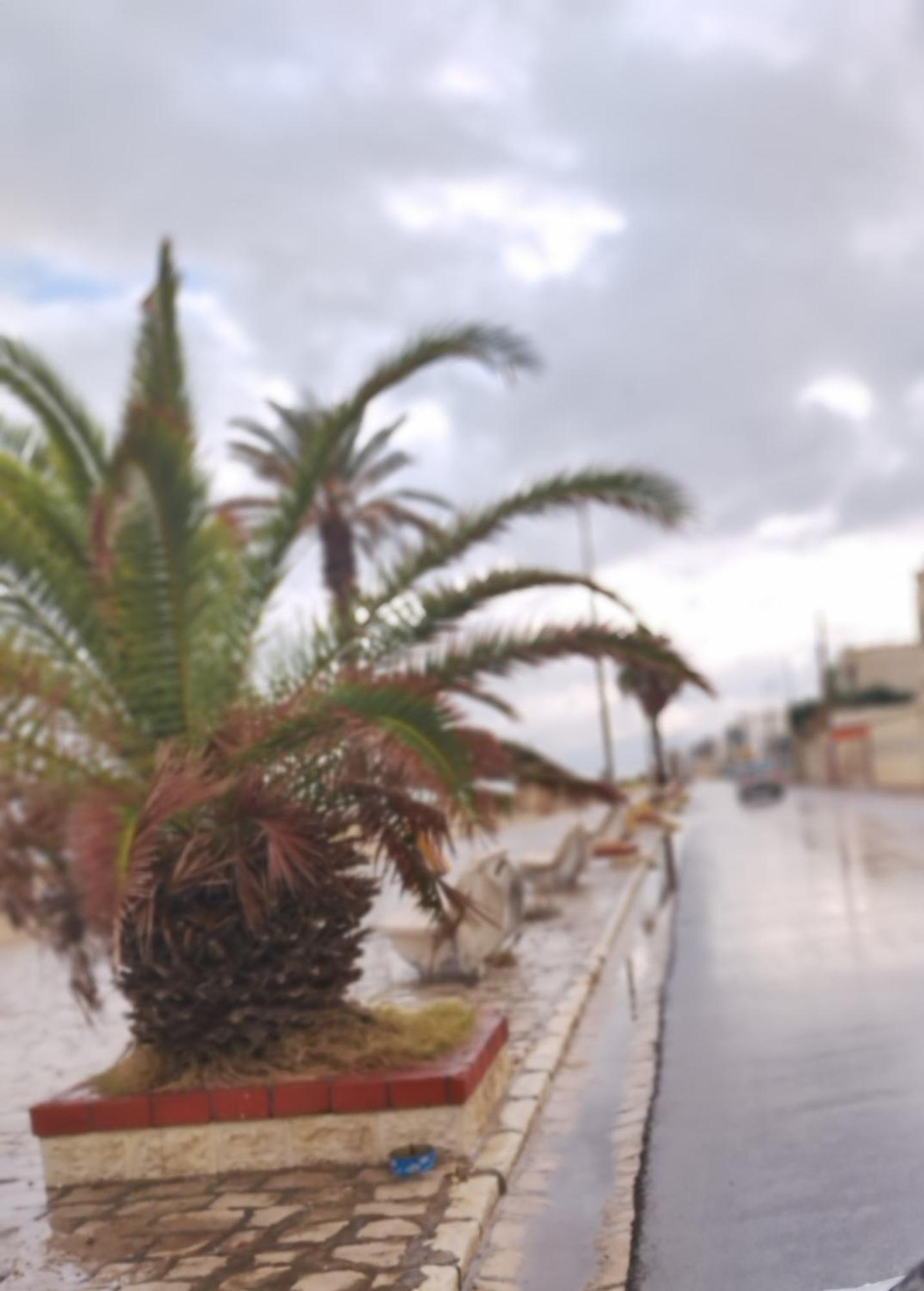 Appartement Hammam-Lif Les Cyclamens Tunisie Afrique 外观 照片