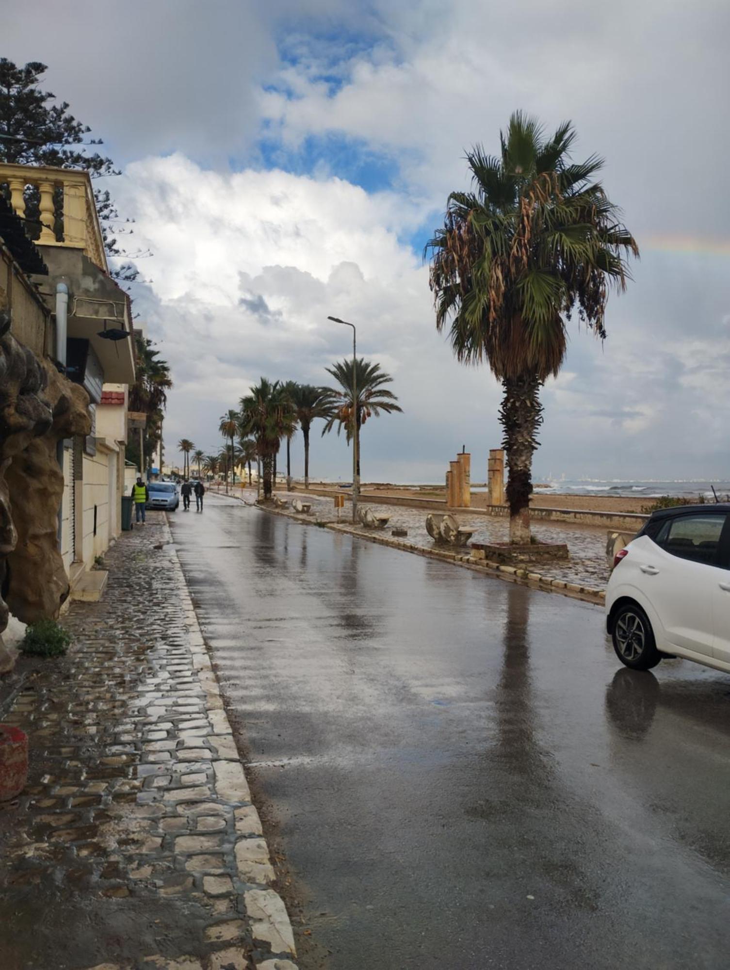 Appartement Hammam-Lif Les Cyclamens Tunisie Afrique 外观 照片